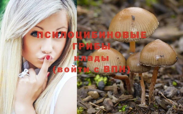 mix Белокуриха