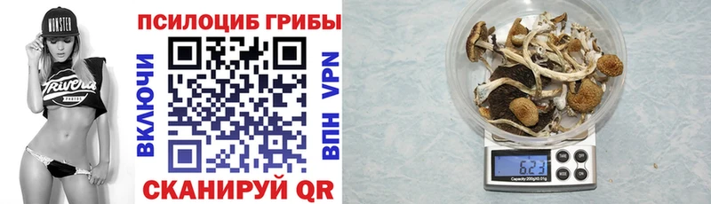 mega ONION  Мамадыш  Псилоцибиновые грибы GOLDEN TEACHER 